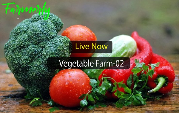 Vegetable Farm 02